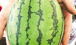 江苏宿迁吃瓜事件,一场引发热议的街头冲突