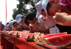 吃瓜大赛推荐,吃瓜大赛精彩瞬间大盘点