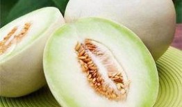 白洋瓜是白兰瓜吗怎么吃,美味瓜果的多样食用方式