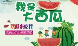 北湖吃瓜俱乐部,揭秘娱乐圈幕后故事，带你领略娱乐风云