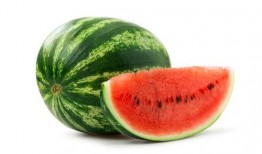 招远吃瓜,一场舌尖上的盛宴