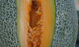 带你吃瓜喊口号,畅游娱乐热点，一起喊口号！