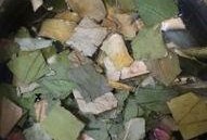 禾野玫瑰吃瓜,揭秘娱乐圈的“吃瓜”风云