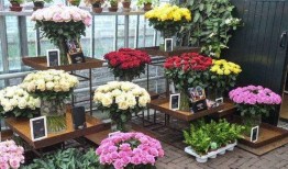 花店老板吃瓜下载,揭秘花店背后的趣味故事