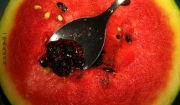 广东吃瓜男子,揭秘街头美食背后的故事