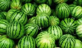 痞幼吃瓜群,揭秘娱乐圈幕后故事