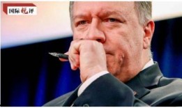 吃瓜罗伯特锐评,揭秘娱乐圈背后的真相与内幕