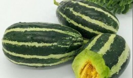 乘务长吃瓜,揭秘航班上的小确幸