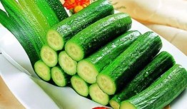 刚看完251吃瓜,网络舆论的狂欢与反思