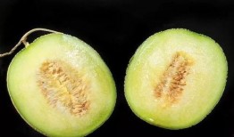 吃瓜嗓,网络热词背后的文化现象