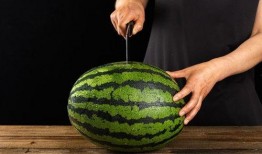 中国人吃瓜纪录,瓜界风云录