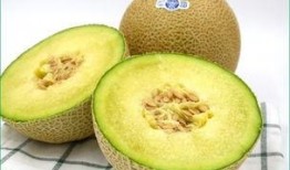 孩子天天吃哈密瓜