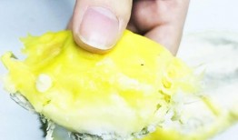 琨仑吃瓜,揭秘娱乐圈幕后故事