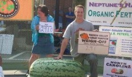 吃瓜群众变助攻,见证网络舆论的力量