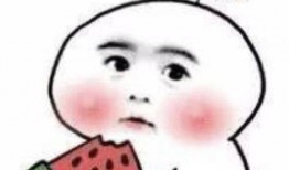 阿坤和小书吃瓜,瓜田里的欢乐时光