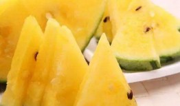 155fun吃瓜热门大瓜黑料,揭秘热门大瓜背后的黑料风云