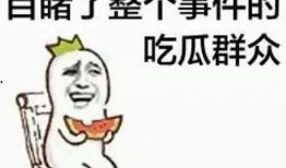 达沃斯吃瓜群众,吃瓜群众眼中的全球风云变幻