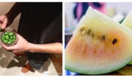 吃瓜群众为何打人,吃瓜群众打人事件背后的社会现象解析