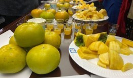 蜜瓜苹果可以一起吃吗,营养互补的神奇搭配揭秘