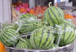 刚看完251吃瓜,网络舆论的狂欢与反思