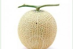 吃瓜群众茶叶,揭秘“吃瓜群众”与茶叶的奇妙邂逅