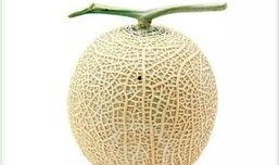 吃瓜群众茶叶,揭秘“吃瓜群众”与茶叶的奇妙邂逅