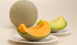 吃蜜瓜的昆虫,探寻食蜜瓜昆虫的奇妙世界