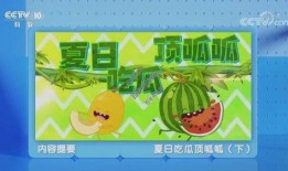 夏天吃瓜顶呱呱