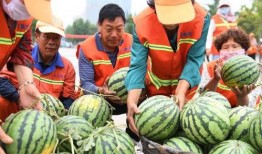 郯城吃瓜事件视频