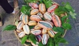 阿姨吃八月瓜视频下载,视频下载尽享田园时光