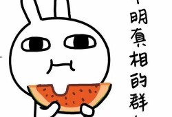 夜猫瓜怎么吃,解锁夜间美食新体验