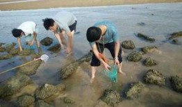 海滩吃瓜,一起吃瓜畅谈夏日时光