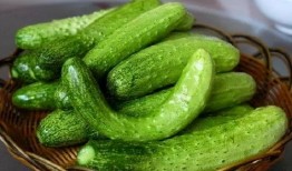 盛舒薇吃瓜,揭秘娱乐圈幕后真相