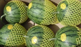 准备吃瓜素材,盘点娱乐圈最新瓜料大揭秘