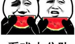 表情包禁止吃瓜,共筑和谐网络——拒绝吃瓜，从我做起