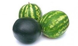 应城吃瓜事件,一场引发全民热议的网络狂欢