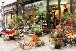 花店老板吃瓜下载,揭秘花店背后的趣味故事