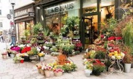 花店老板吃瓜下载,揭秘花店背后的趣味故事