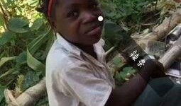 小胖闯非洲吃瓜视频,一场别开生面的吃瓜之旅