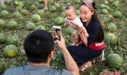 吃瓜群众与记者,揭秘娱乐圈幕后真相