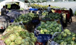 商丘吃瓜事件后续