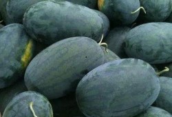 一号吃瓜,揭秘娱乐圈背后的那些事儿