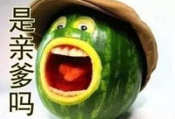 我吃的瓜剩下的瓜,揭秘瓜果的奇妙世界