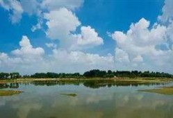 青州弥河滩吃瓜