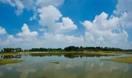 青州弥河滩吃瓜