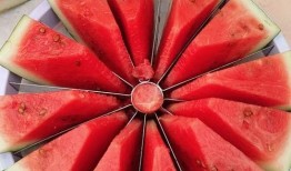 吃瓜大赛推荐,吃瓜大赛精彩瞬间大盘点