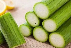 吃的瓜发苦,探寻“吃的瓜发苦”的成因与应对