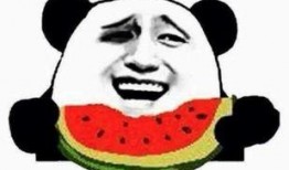 吃瓜群众婷儿,揭秘娱乐圈幕后故事