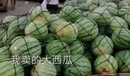 吃瓜穷海,揭秘娱乐圈背后的辛酸与真相