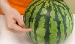 吃不够的瓜,吃不够的瓜，尽享夏日美味时光